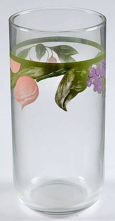 Garden Party (Garden Impressions) 16 Oz Glassware Tumbler