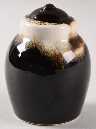 Gourmet Brown Salt Shaker
