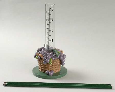 Grapevine Rain Gauge