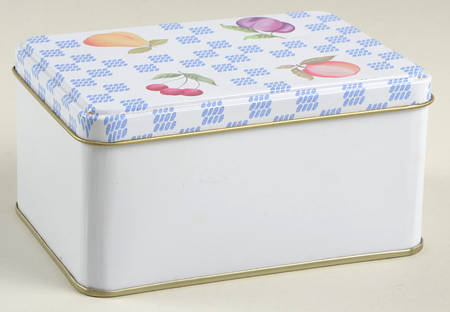 Hopscotch (Fruit) Small Rectangular Storage Tin