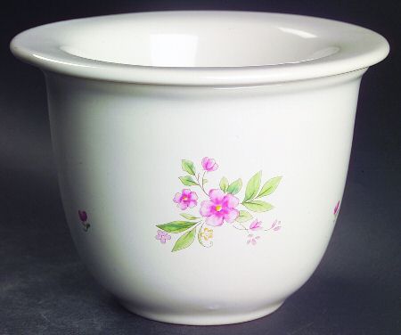 Meadow Lane Dip Cooler Set-(Dip Bowl &Icer by Pfaltzgraff