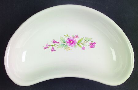 Meadow Lane Crescent Salad Plate by Pfaltzgraff