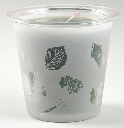 Naturewood Citronella Candle Jar