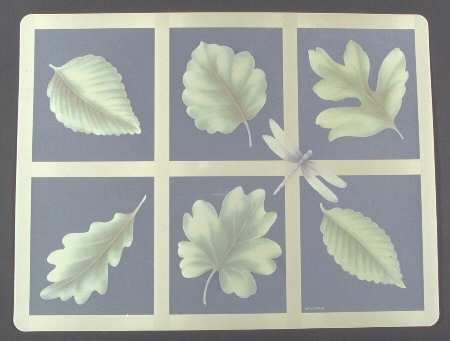 Naturewood Vinyl Placemat