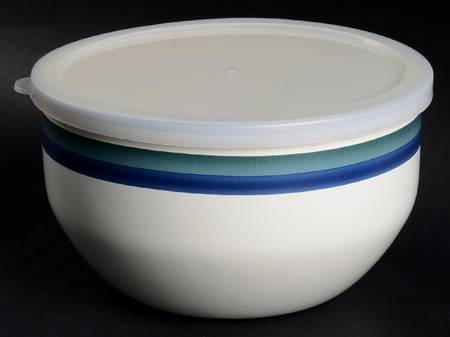Northwinds 6 7/8" Metal Bowl W/Plastic Lid