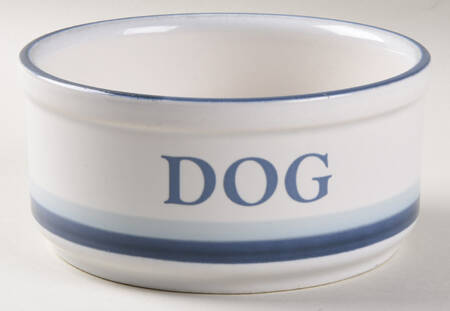 Sky Small Pet Bowl
