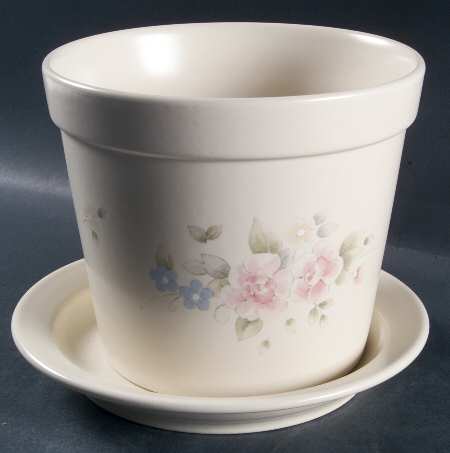 Tea Rose 6" Flower Pot & Underplate