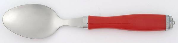 Winterberry Teaspoon