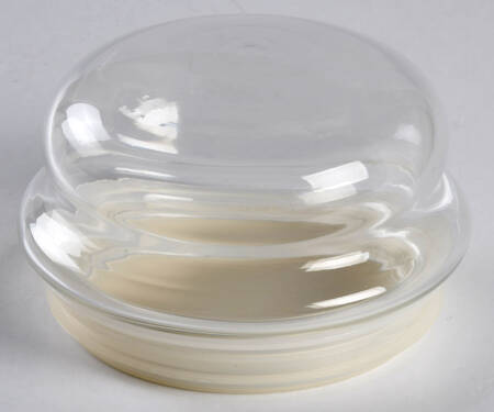 Winterberry Lid for Glassware Candy Jar