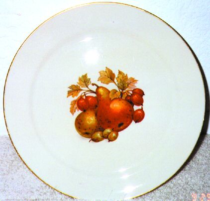 PIC10 Dinner Plate
