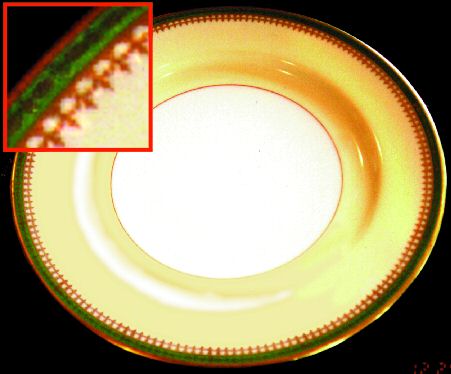 PIC14 Dinner Plate