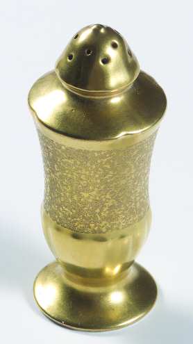 Plain Encrusted Salt Shaker