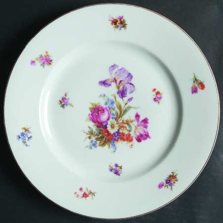 Dresden Dinner Plate by Pirkenhammer