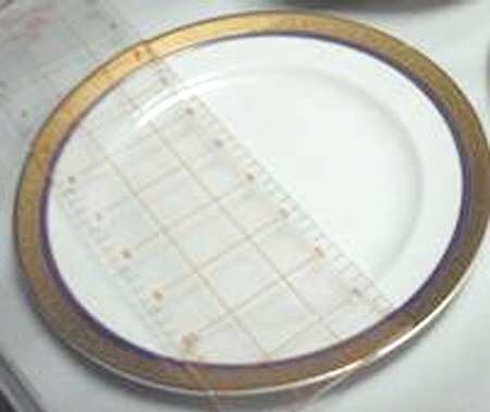 1107 Luncheon Plate