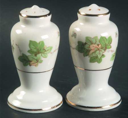 American Ivy Salt & Pepper Set
