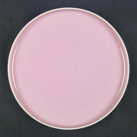 Radius Coral by Prisma