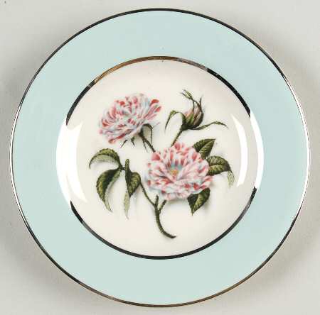 Rosa Mundi Coaster