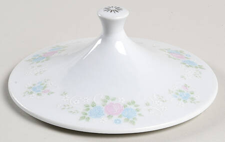 China Garden Lid for Round Vegetable by Prestige (China)