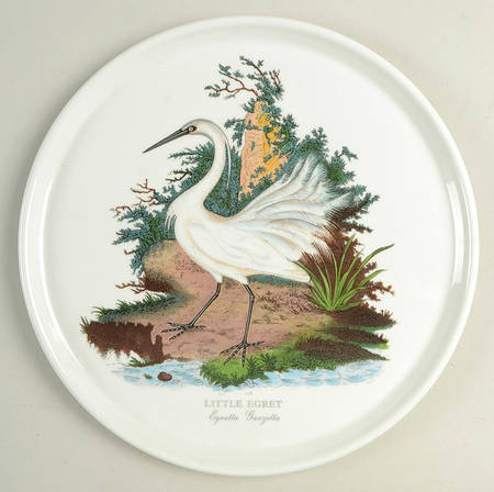 Birds of Britain 10" Pizza Plate with Green Band