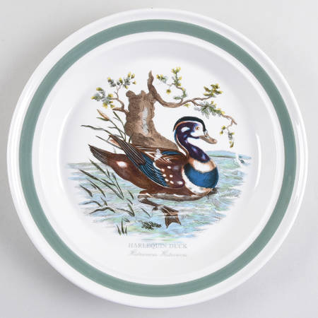Birds of Britain Dinner Plate with Green Band