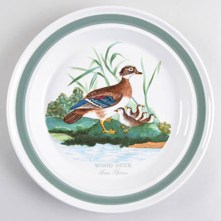Birds of Britain Dinner Plate with Green Band