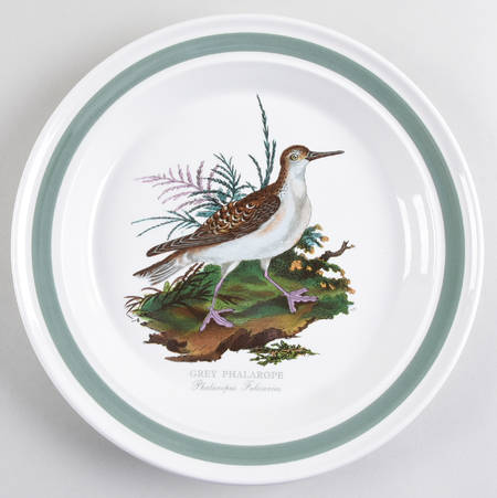 Birds of Britain Dinner Plate with Green Band
