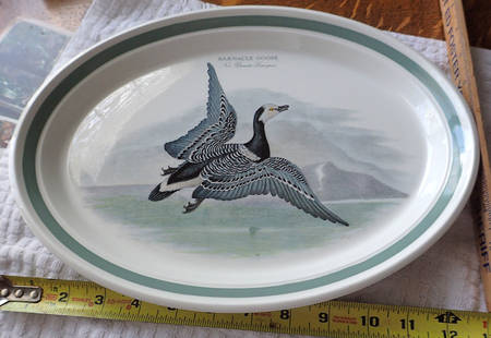 Birds of Britain 13" Oval Serving Platter with Green Band