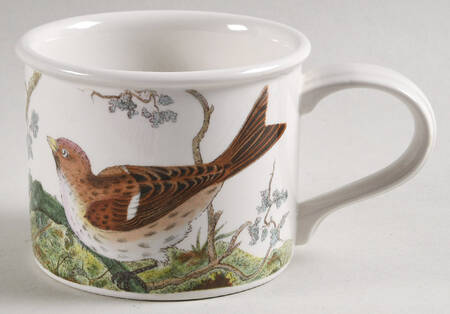 Birds of Britain Flat Drum Cup (For Green Band Set)