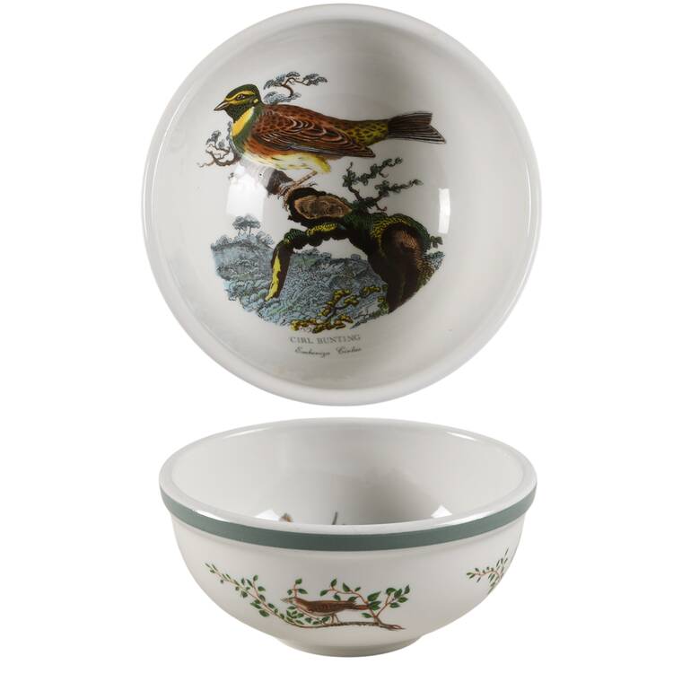 Birds of Britain Individual Salad Bowl with Green Band