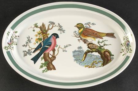 Birds of Britain 11" Oval Steak Platter with Green Band