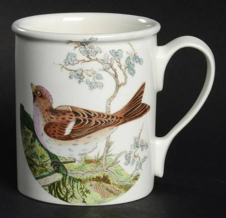 Birds of Britain Breakfast Mug