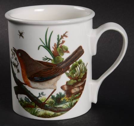 Birds of Britain Breakfast Mug