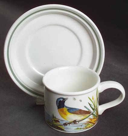 Birds of Britain Drum Flat Cup & Saucer Set with Green Band Saucer