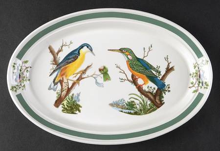 Birds of Britain 11" Oval Steak Platter with Green Band