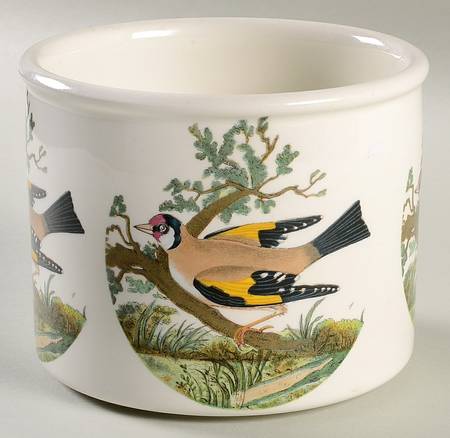 Birds of Britain 4" Planter