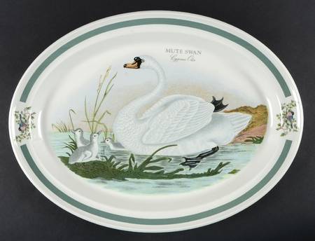Birds of Britain 15" Oval Serving Platter with Green Band