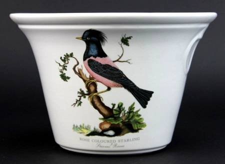 Birds of Britain 6" Flared Planter
