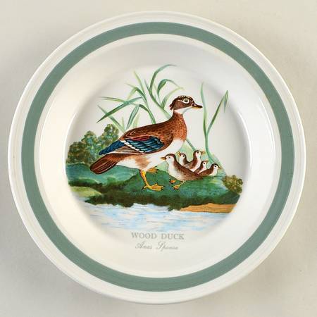 Birds of Britain 10" Pie Baking Plate with Green Band