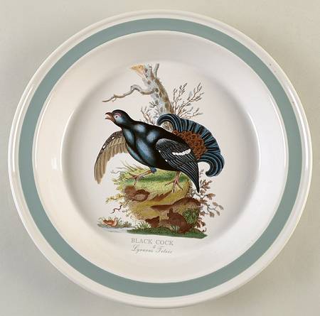 Birds of Britain 10" Pie Baking Plate with Green Band