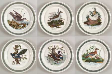 Birds of Britain Dinner Plate with Green Band - Set of 6 Motifs