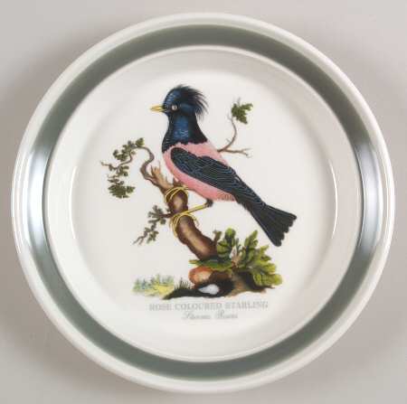 Birds of Britain Salad Plate with Green Band