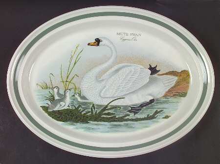 Birds of Britain 15" Oval Serving Platter with Green Band
