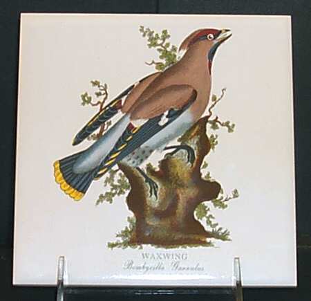 Birds of Britain 6" Individual Ceramic Tile Insert