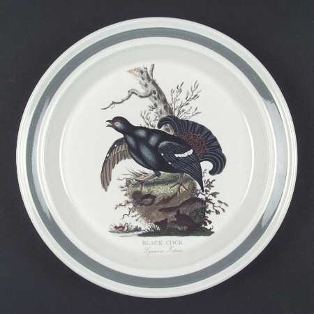 Birds of Britain Dinner Plate with Green Band