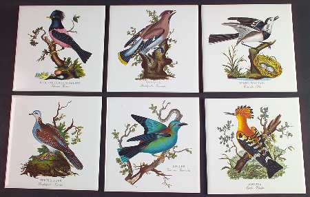 Birds of Britain 6" Individual Ceramic Tile Insert - Set of 6