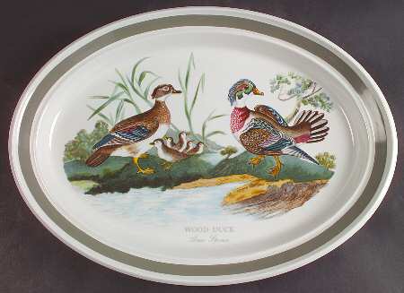 Birds of Britain 15" Oval Serving Platter with Green Band