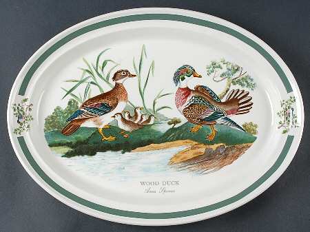 Birds of Britain 14" Oval Steak Platter