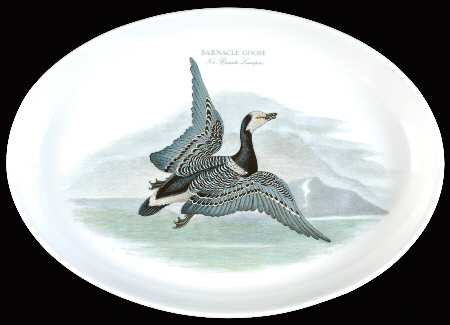 Birds of Britain 13" Oval Steak Platter
