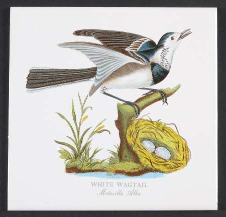 Birds of Britain 6" Individual Ceramic Tile Insert