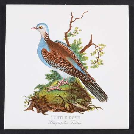 Birds of Britain 6" Individual Ceramic Tile Insert